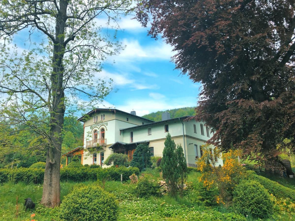 Villa Greifenberg Jagniatkow Exterior photo